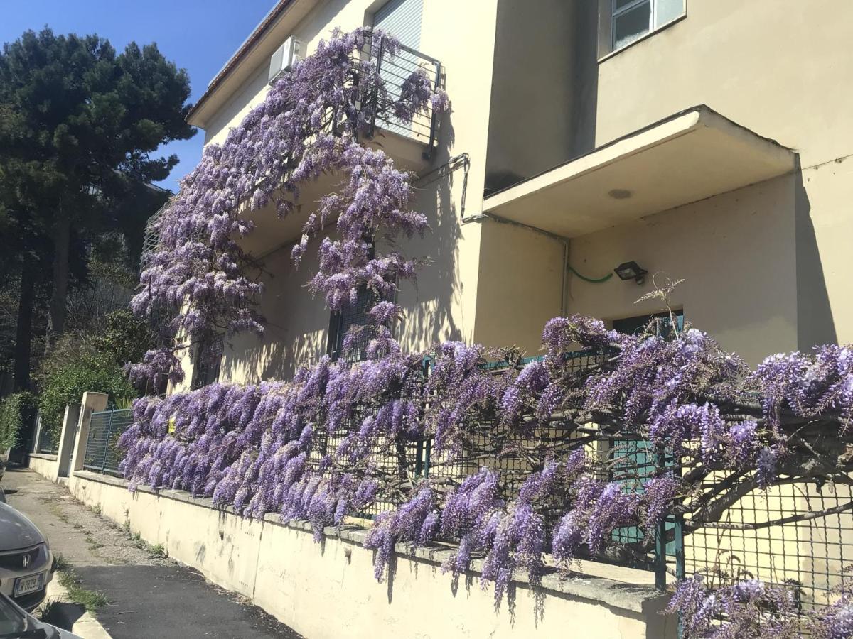B&B Il Glicine Pescara Centro Eksteriør billede
